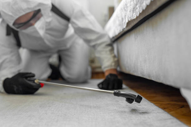 Professional Termite Control technician working in Nicholson, GA