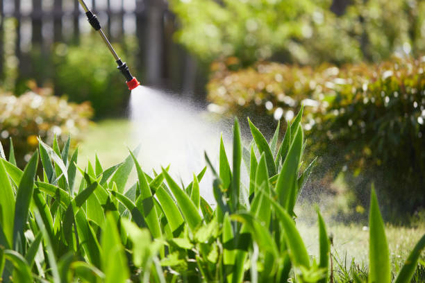 24/7 Emergency Termite Control experts in Nicholson, GA