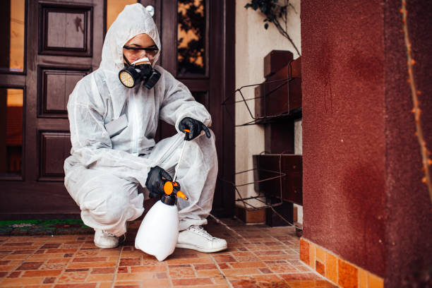 Reliable Termite Control contractor in Nicholson, GA by Nex Pest Control